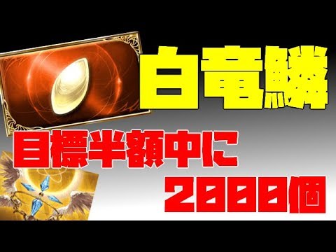 半額中に白竜鱗2000個集める　グラブルlive