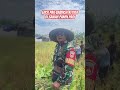 Edisi Pak Babinsa di Sawah Panen Padi