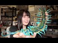 巨大ムカデの巨大フィギュアを開封するよ配信！