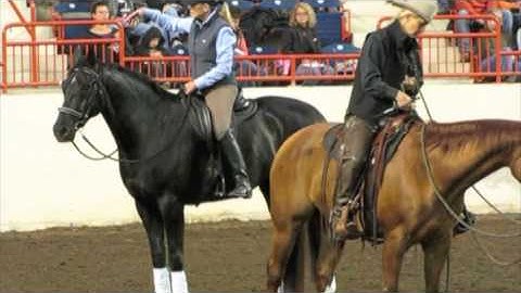 Rider Biomechanics with Colleen Kelley