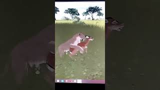 Wild Savannah Lioness And Импала