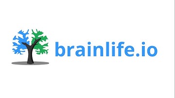 What is brainlife.io?
