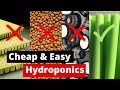 Cheap  easy diy hydroponics  ditch the expensive stuff for a 1 pool noodle