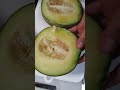 CUTTING MELON 🍈 FRUIT #shorts #sweet #viralshort #satisfying