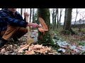 Fundamentals of Axemanship part 5: Felling Trees with an Axe