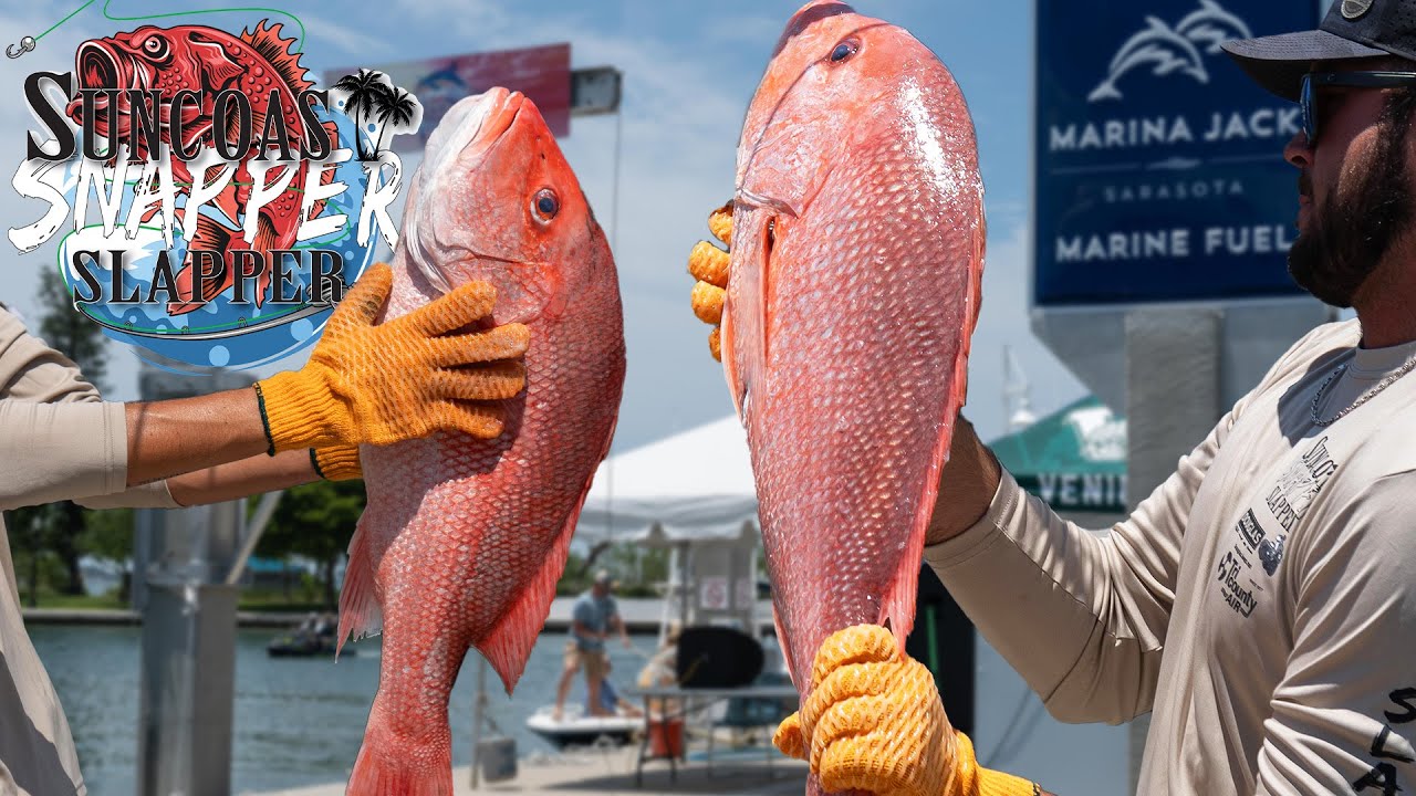 2023 Snapper Slapper - Full Coverage