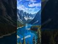 Relax and Unwind with Soothing Forest Melodies #nature #background #music #trending #shorts