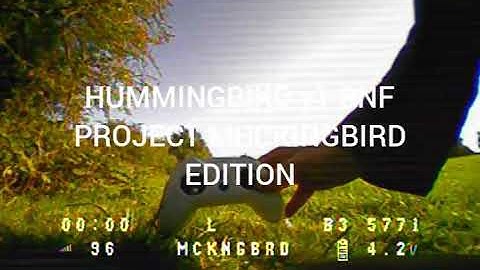 NEWBEEDRONE HUMMINGBIRD V1 PROJECT MOCKINGBIRD EDITION FAST FLY