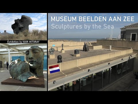Video: Museum 