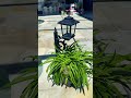 Easy front porch decor with this beautiful solar planter. #solar #sol...