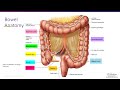 Bowel Management After Spinal Cord Injury