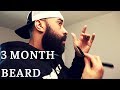 3 Month Beard Update | Comb decisions | Straight Razor Cheek Line