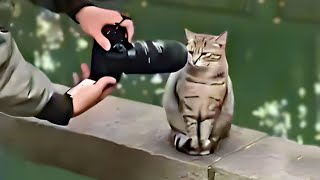 Unusual Memes Compilations V365