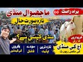 (1181) Visit to Machiwal Mandi on 15 may 2026/Update of Qurbani animals in Mandi