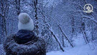 Serene Winter Walk City Streets to Forest | 4K Snowfall