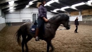 Pitagoras, 6 jarige PRE schimmel hengst, sportpaardtype (ruime gangen)