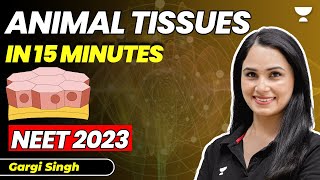 Animal Tissue in 15 Minutes | 20 marks pakke | Biology | NEET 2023 | Gargi Singh