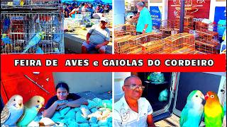 Feira De Pássaros Animais E Gaiolas Do Cordeiro Parte 1 200926