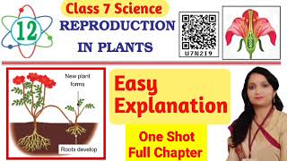 Famous Class 7 Science Reproduction In Plants ll Full chapter explanation Net Worth