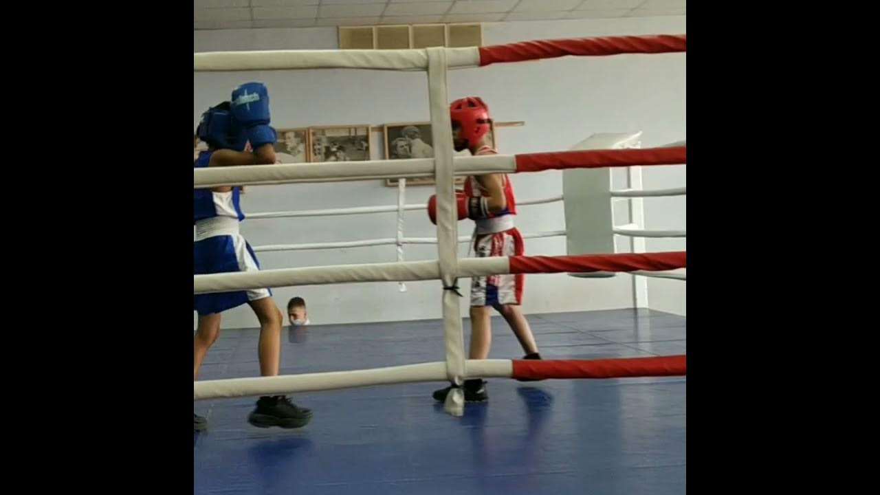 автомат груша сила удара. дэрон салакян. мексика школа бокса. 3. 1.