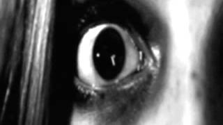 Striborg - Beneath The Fields Of Rapacious Blood Unofficial