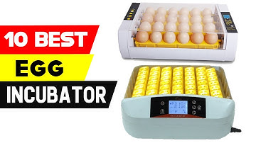 Top 10 Best  Egg Incubators for 2021