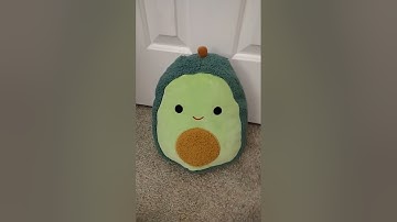 Collector check squishmallows #squishmallows #squishmallowcheck #squishmallow #fun #cute