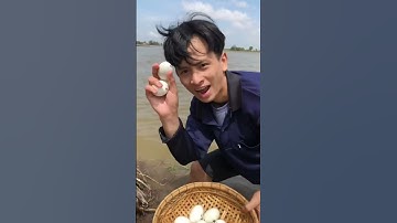 Cùng Nhọn Ăn Hột Vịt Lộn Luộc Nước Dừa Chấm Với Muối Tiêu Chanh Nha #shorts #tiktok #phucnhon