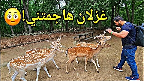 حققت حلم من أحلام الطفولة 🦌🇺🇸 لكن ما هو ؟!