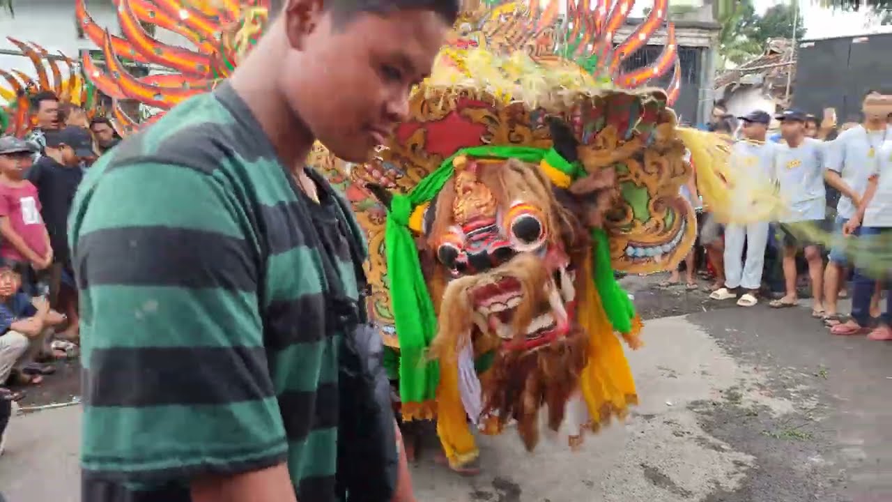 PAJU BARONG KUMBO||KRESNO BUDOYO||LIVE SUMOR SONGGON