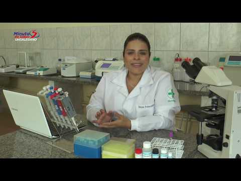 Vídeo: Diferença Entre Elisa E Western Blot