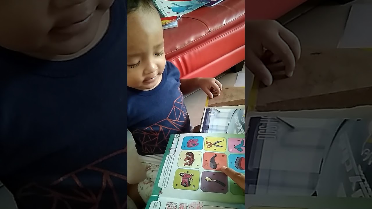 Belajar mengenal objek untuk anak  usia 2  tahun  YouTube
