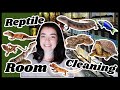 Reptile Room Cleaning (and NEW PETS!!)