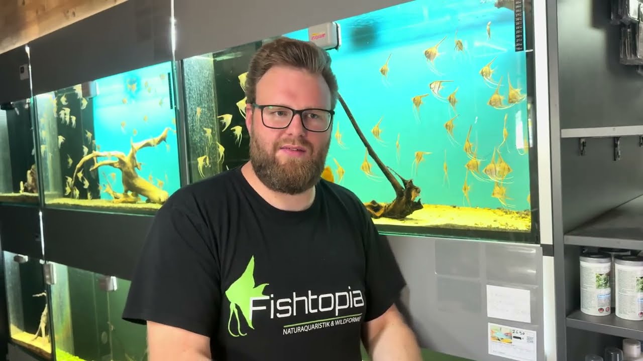 Aqua. to go stellt vor: Fishtopia - Spezialist für Zierfischraritäten