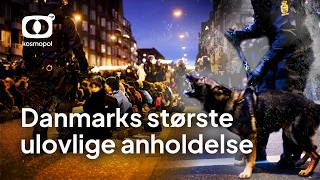 Hvorfor blev fredelige demonstranter anholdt?