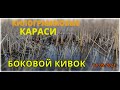 КИЛОГРАММОВЫЕ КАРАСИ на БОКОВОЙ КИВОК рыбалка Северный Казахстан КАРАСИ КАБАНЫ на удочку!!!