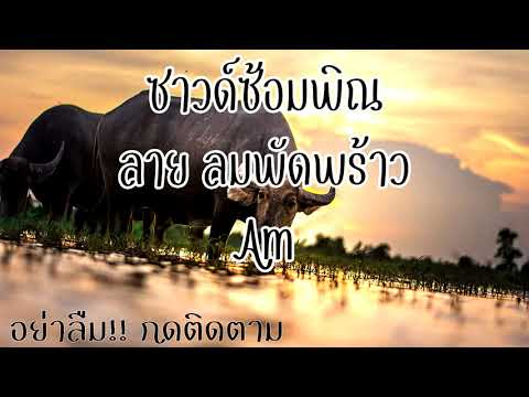 ซาวด์ลายลมพัดพร้าว Am