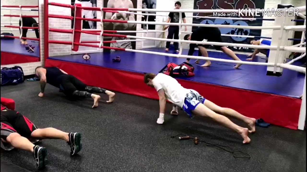 Igf-1 ������� ��������: ����.