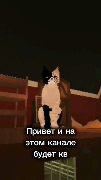 ищу съёмочную группу в тг - YouTube
