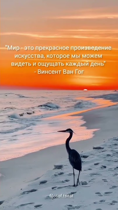 Цитата от Винсента Ван Гога - YouTube