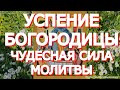 Обязательно просите в Успение Пресвятой Богородицы все, о чем мечтаете.  Богородица поможет каждому