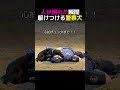 警察犬「ポンチョ」のCPR
