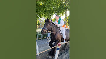 ?? Ringrijden Grijpskerke ????  Nederland @TravelwithHugoF  #ringrijden #horses #grijpskerke