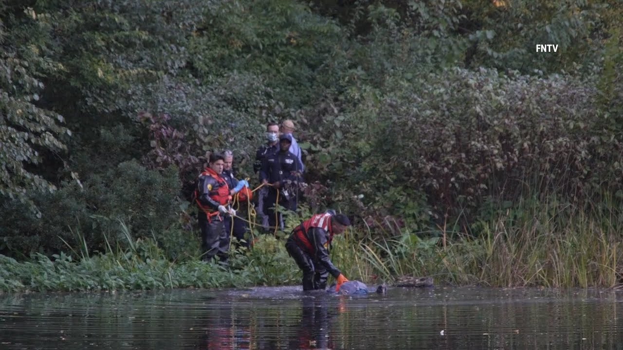 Body Pulled Out from Central Park Pond as People Watch - YouTube