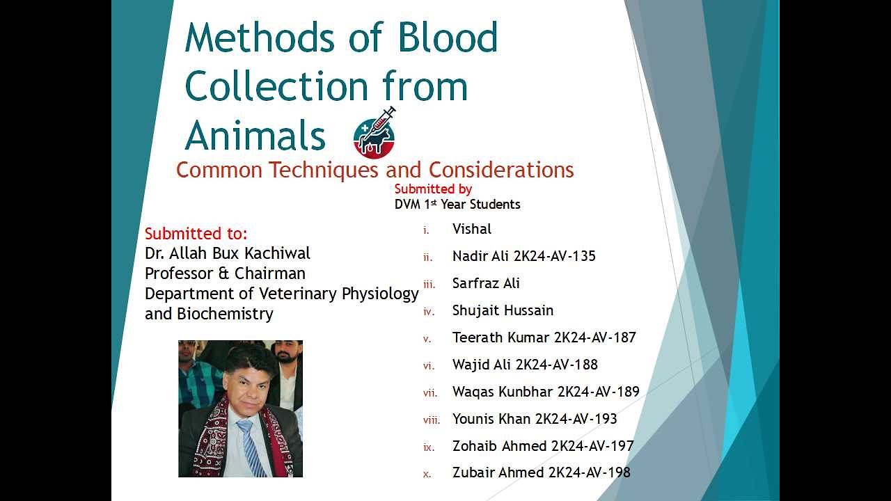 Animal Blood Collection Methods Methods of Blood Collection from Animals: Common Techniques and ...