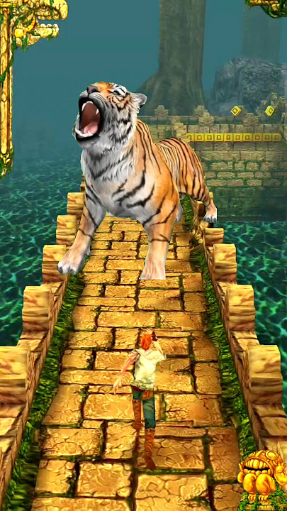 Tiger Attack Me 🤯 | #shorts | #2842