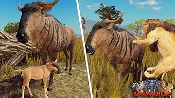 NEW Wildebeest Animal Update! | ROBLOX Savannah Life