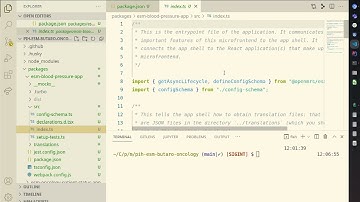 Creating a new package in OpenMRS 3.x
