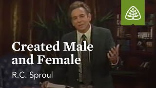 Created Male and Female: Themes from Genesis with R.C. Sproul