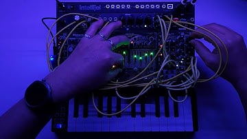 ambient drone eurorack modular live 20251128